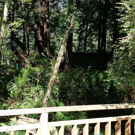 Emerald Forest Cabins Trinidad Phòng bức ảnh