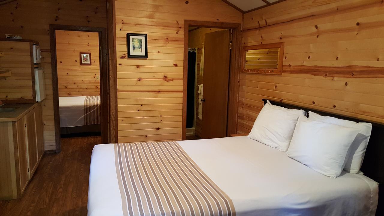 Emerald Forest Cabins Trinidad Ngoại thất bức ảnh