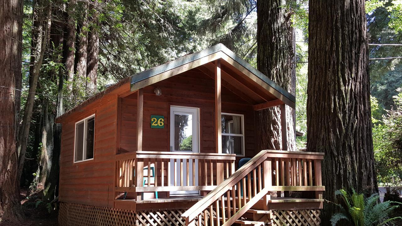 Emerald Forest Cabins Trinidad Ngoại thất bức ảnh