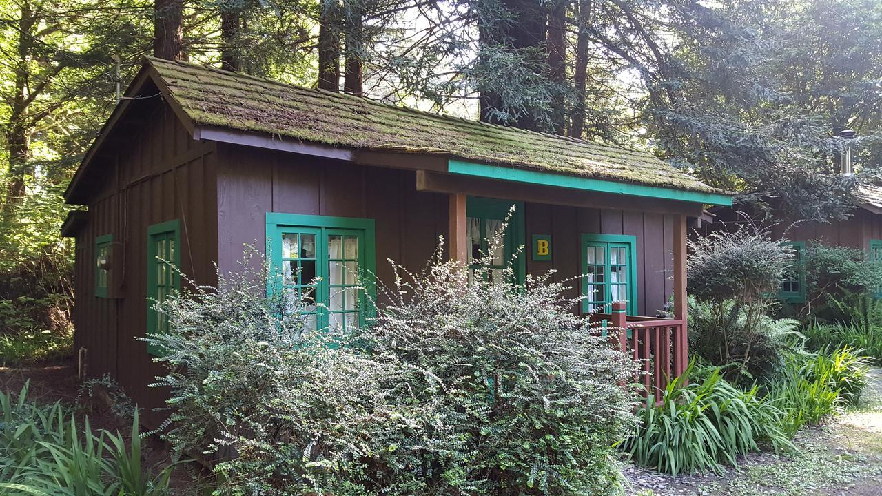 Emerald Forest Cabins Trinidad Ngoại thất bức ảnh