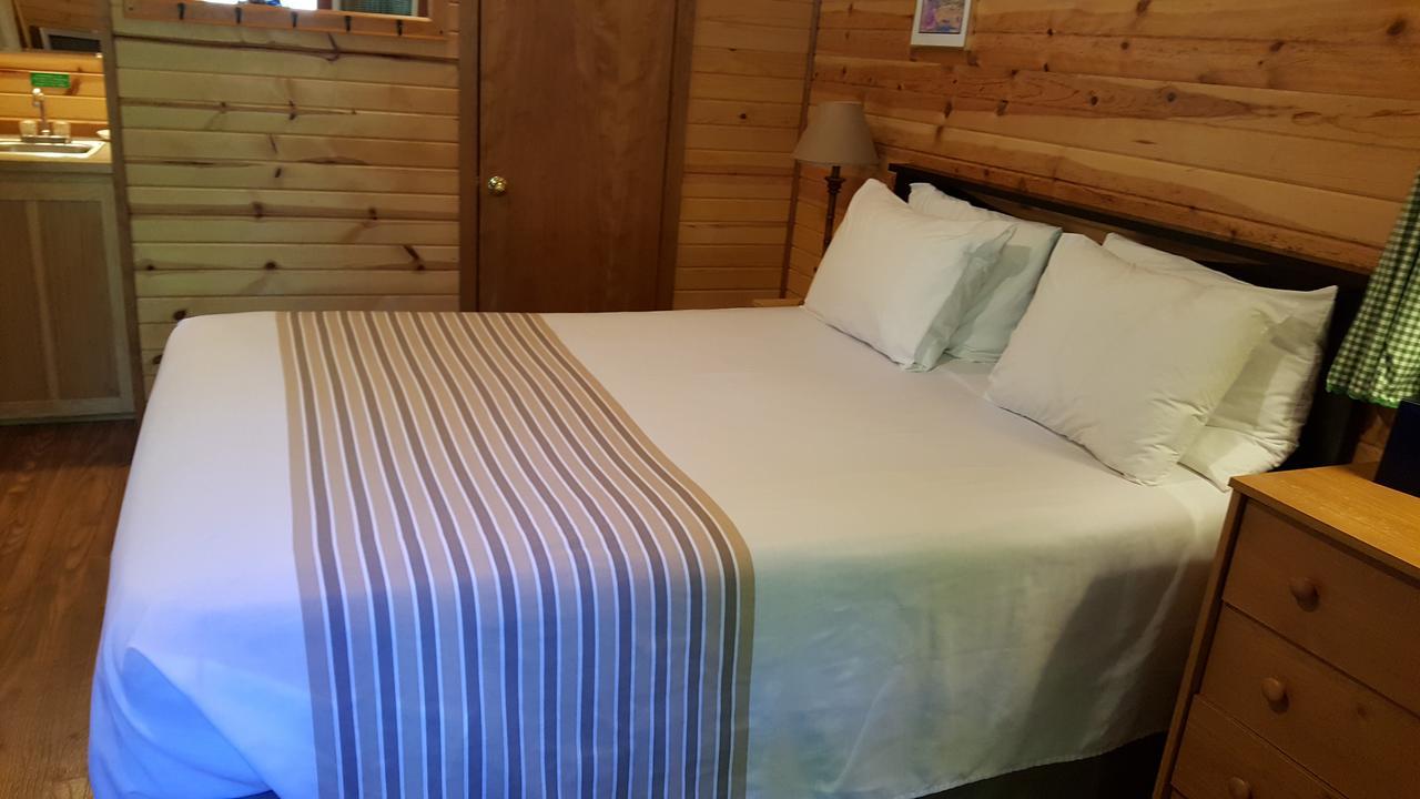 Emerald Forest Cabins Trinidad Ngoại thất bức ảnh