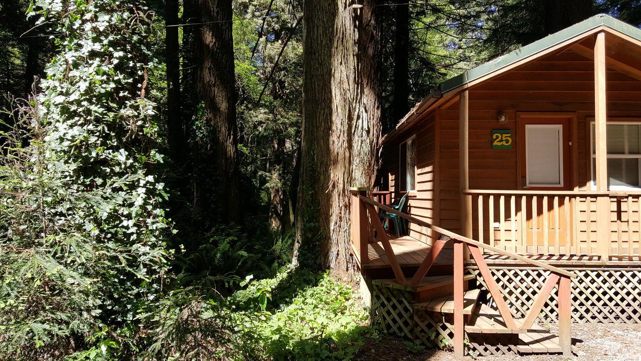 Emerald Forest Cabins Trinidad Ngoại thất bức ảnh
