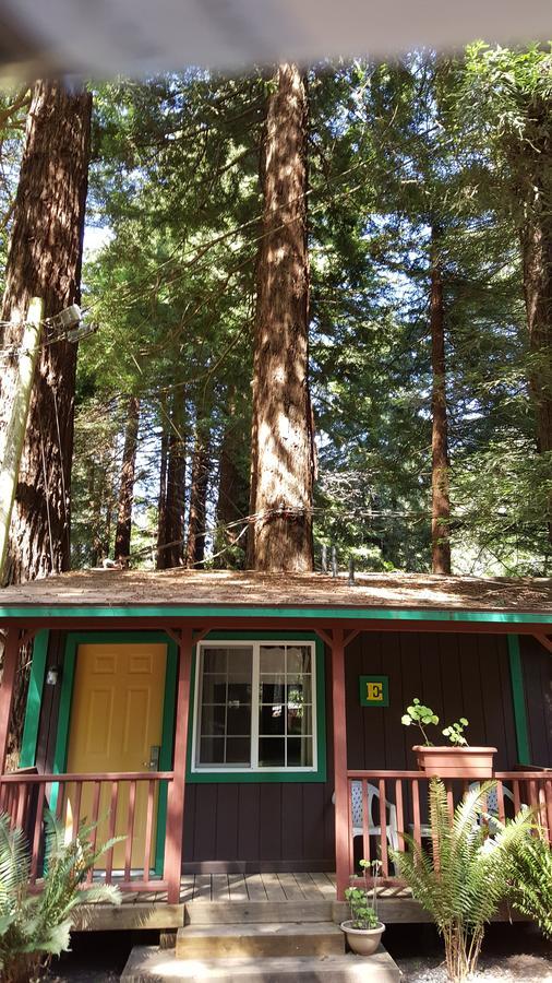 Emerald Forest Cabins Trinidad Phòng bức ảnh
