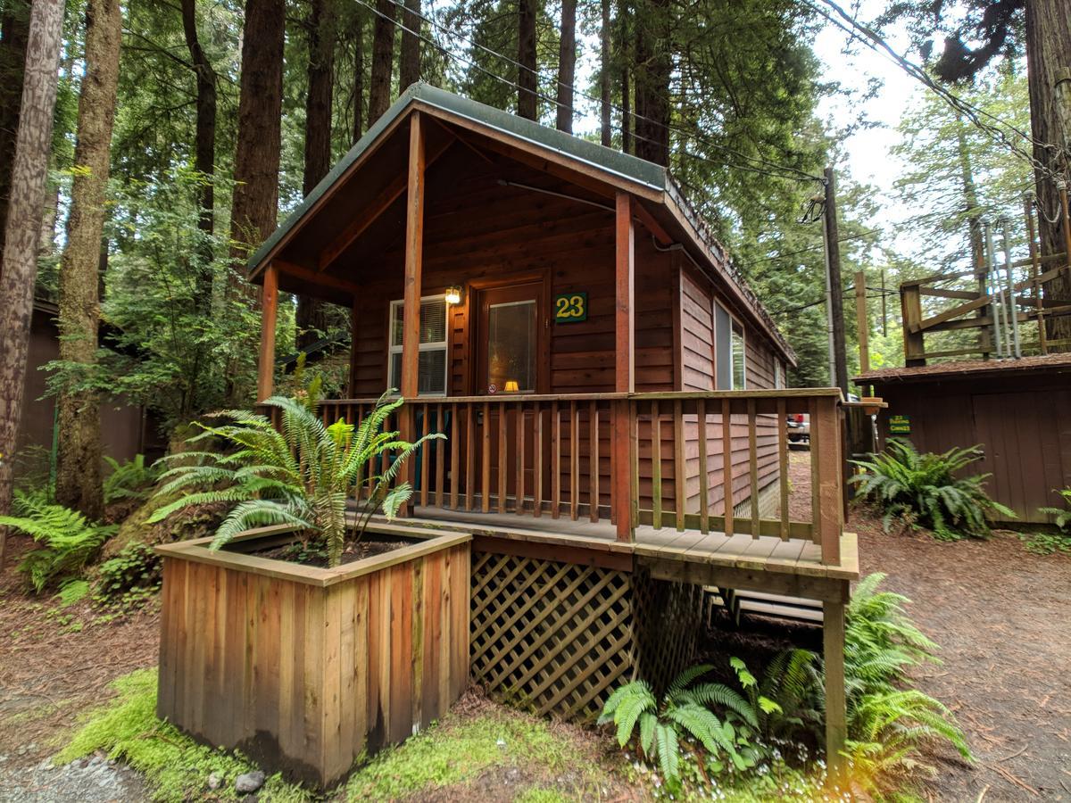 Emerald Forest Cabins Trinidad Ngoại thất bức ảnh