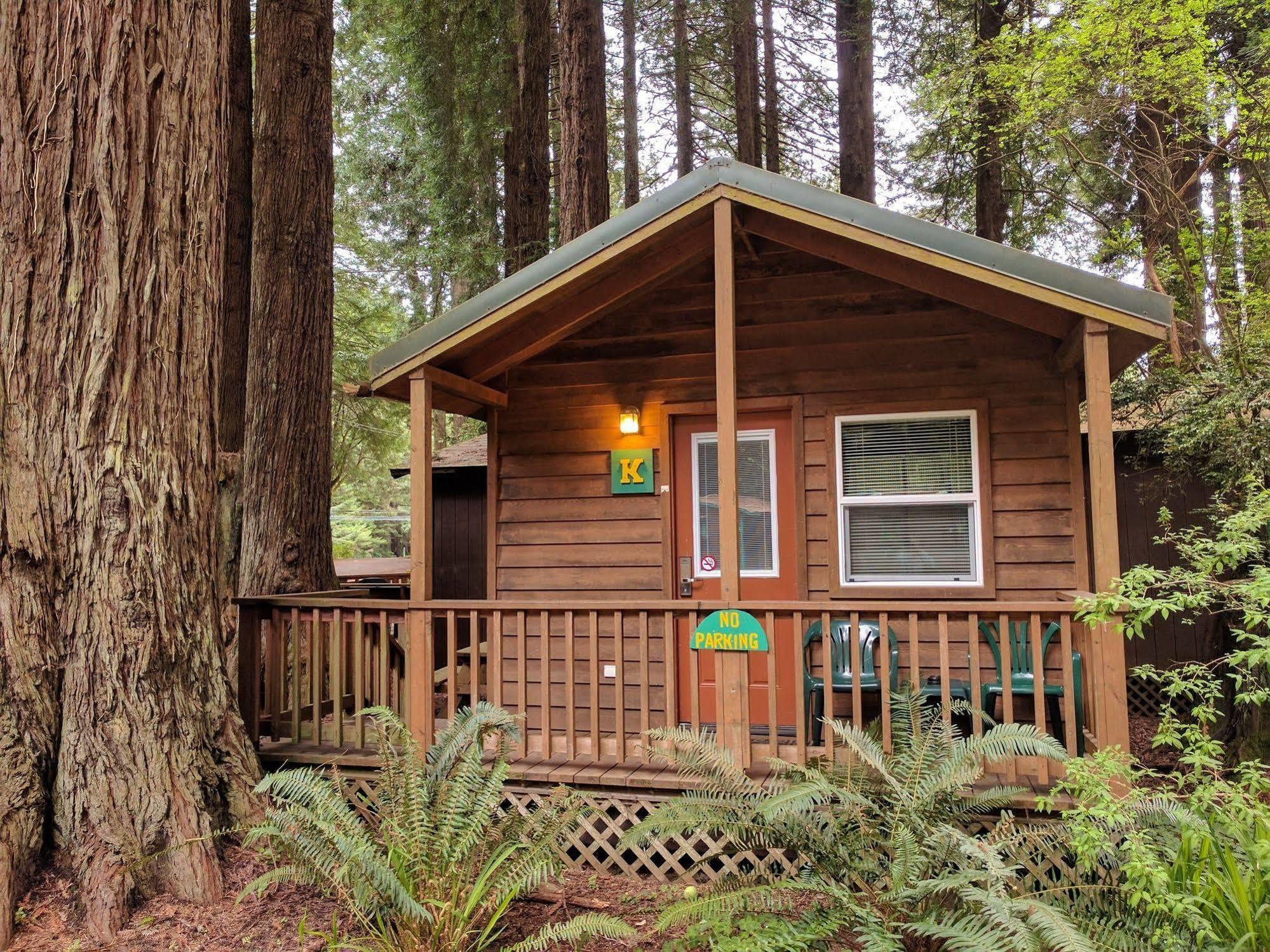 Emerald Forest Cabins Trinidad Ngoại thất bức ảnh